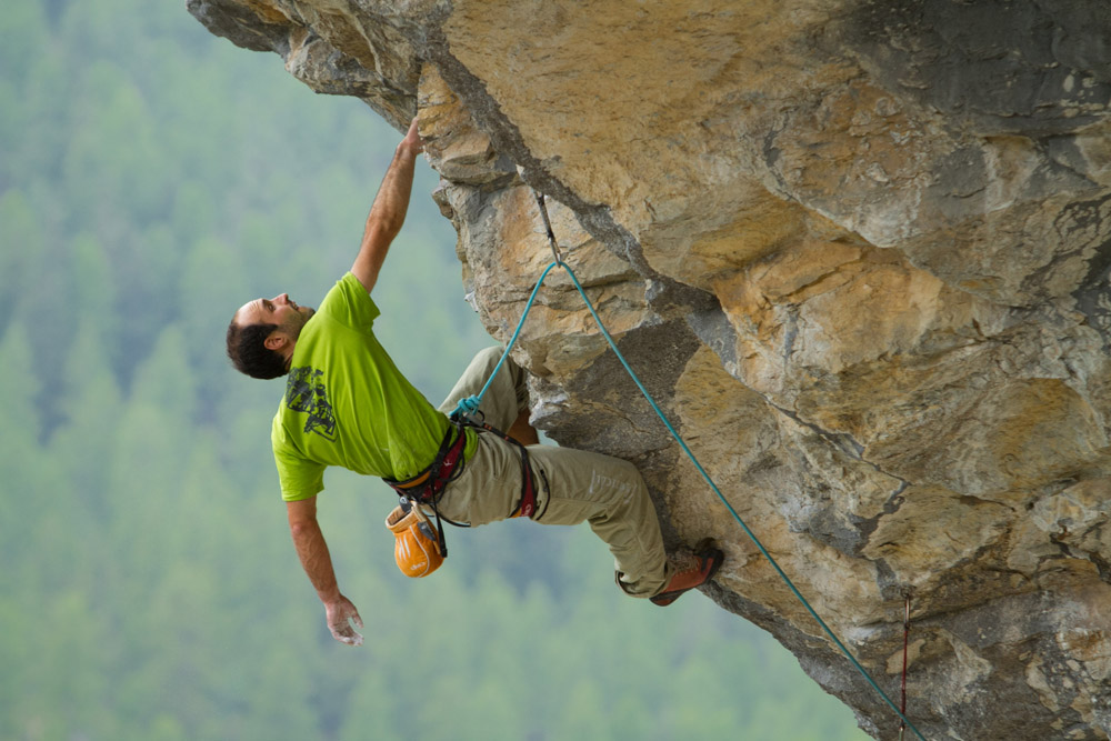 Une arquee pour un criquet (6)